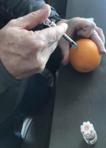 Image demonstrating injection into an orange.